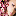 favicon favicon